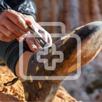 Climbing Shoe Triage